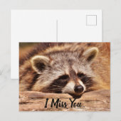 Cute Raccoon Briefkaart (Voorkant / Achterkant)