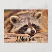 Cute Raccoon Briefkaart (Voorkant)