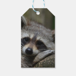 Cute Raccoon Cadeaulabel