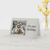 Cute Raccoon Clapping Birthday Humor Kaart (Gele Bloem)