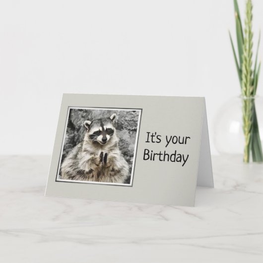 Cute Raccoon Clapping Birthday Humor Kaart (Voorkant)