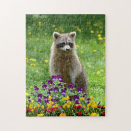 Cute Raccoon in de Vloertuindieren Legpuzzel