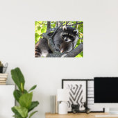 Cute Raccoon in een boom Poster (Thuiskantoor)
