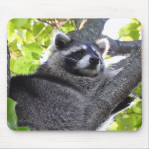 Cute Raccoon in een structuur die dicht bij elkaar Muismat