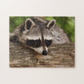 Cute Raccoon in Forest Photo Legpuzzel (Horizontaal)
