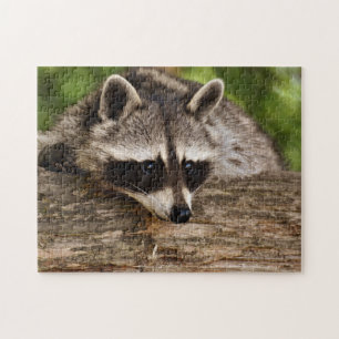 Cute Raccoon in Forest Photo Legpuzzel