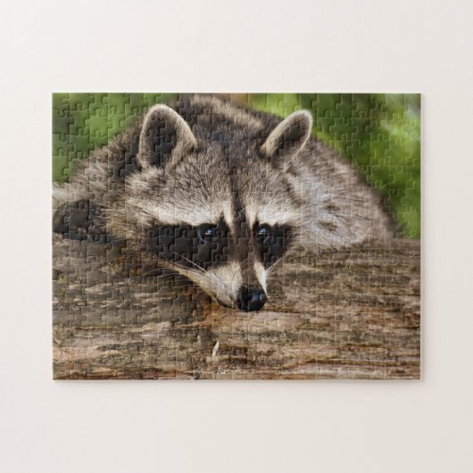 Cute Raccoon in Forest Photo Legpuzzel (Horizontaal)