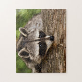 Cute Raccoon in Forest Photo Legpuzzel (Verticaal)