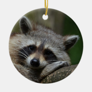Cute Raccoon Keramisch Ornament