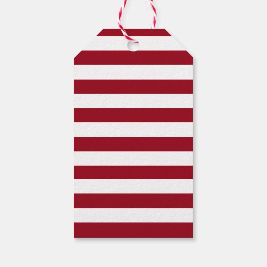 Cute Raccoon Mery Kerstfeestdag Gift Label Cadeaulabel (Achterkant)