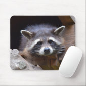 Cute Raccoon Muismat (Met muis)