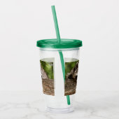 Cute Raccoon Resting on a Log Acryl Drinkbeker (Links)