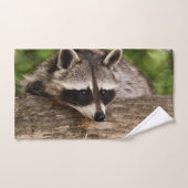 Cute Raccoon Resting on a Log Bad Handdoek (Handdoek)