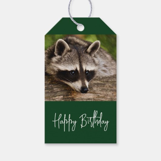 Cute Raccoon Resting on a Log Birthday Cadeaulabel (Voorkant)