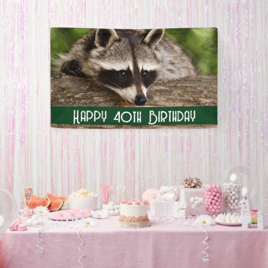 Cute Raccoon Resting on a Log Birthday Spandoek (Feest)