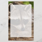 Cute Raccoon Resting on a Log Briefpapier (Voorkant)