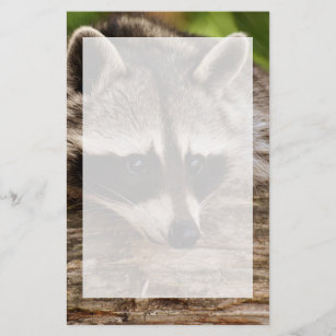 Cute Raccoon Resting on a Log Briefpapier