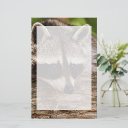 Cute Raccoon Resting on a Log Briefpapier (Staand voorkant)