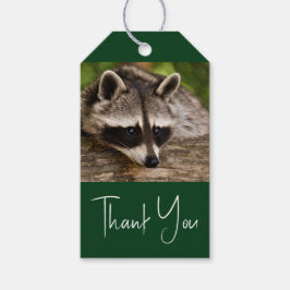 Cute Raccoon Resting on a Log Cadeaulabel