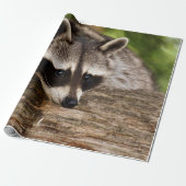 Cute Raccoon Resting on a Log Cadeaupapier (Uitgerold)