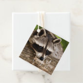 Cute Raccoon Resting on a Log Dank u Bedankjes Labels (In situ)