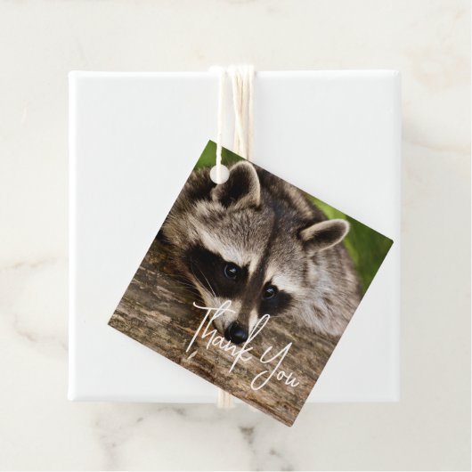 Cute Raccoon Resting on a Log Dank u Bedankjes Labels (In situ)