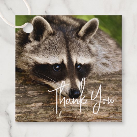 Cute Raccoon Resting on a Log Dank u Bedankjes Labels (Voorkant)
