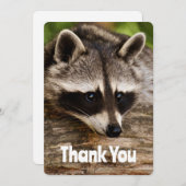 Cute Raccoon Resting on a Log Dank u Bedankkaart (Voorkant / Achterkant)