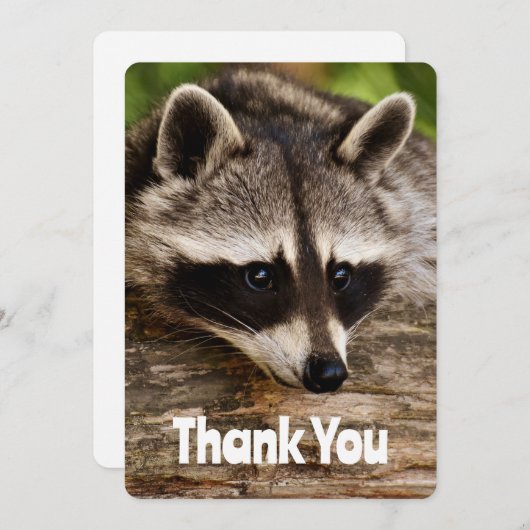 Cute Raccoon Resting on a Log Dank u Bedankkaart (Voorkant / Achterkant)