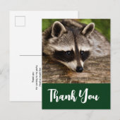 Cute Raccoon Resting on a Log Dank u Briefkaart (Voorkant / Achterkant)