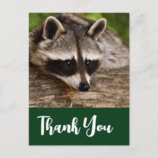 Cute Raccoon Resting on a Log Dank u Briefkaart (Voorkant)