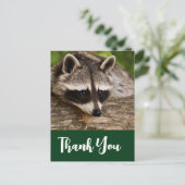 Cute Raccoon Resting on a Log Dank u Briefkaart (Staand voorkant)