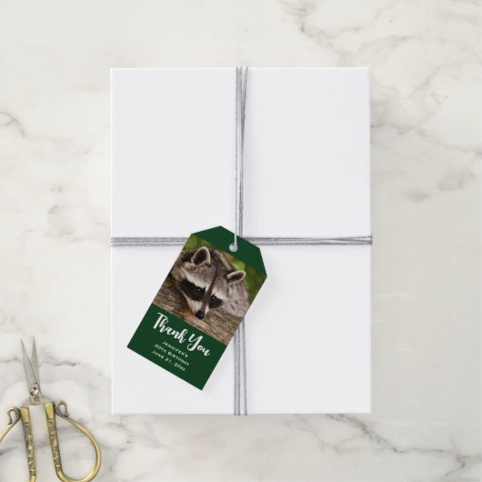 Cute Raccoon Resting on a Log Dank u Cadeaulabel (Met Touw)