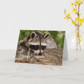 Cute Raccoon Resting on a Log Dank u Kaart (Gele Bloem)