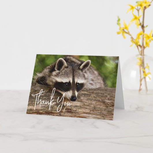Cute Raccoon Resting on a Log Dank u Kaart (Gele Bloem)