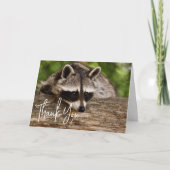 Cute Raccoon Resting on a Log Dank u Kaart (Voorkant)