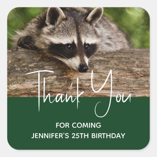 Cute Raccoon Resting on a Log Dank u Vierkante Sticker (Voorkant)