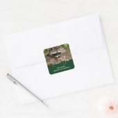 Cute Raccoon Resting on a Log Dank u Vierkante Sticker (Envelop)