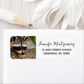 Cute Raccoon Resting on a Log Etiket (Insitu)