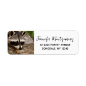 Cute Raccoon Resting on a Log Etiket (Voorkant)