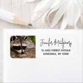 Cute Raccoon Resting on a Log Etiket (Insitu)