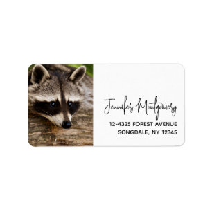Cute Raccoon Resting on a Log Etiket