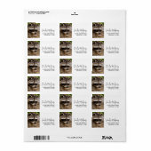Cute Raccoon Resting on a Log Etiket (Full Sheet)