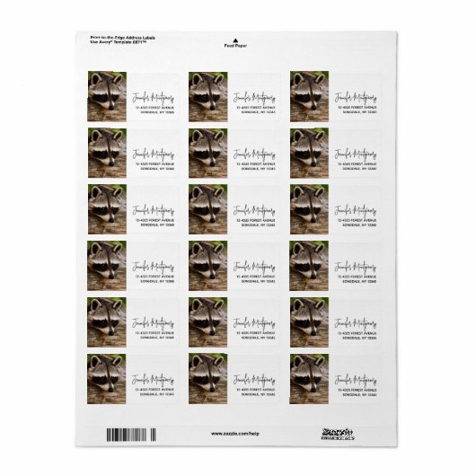 Cute Raccoon Resting on a Log Etiket (Full Sheet)