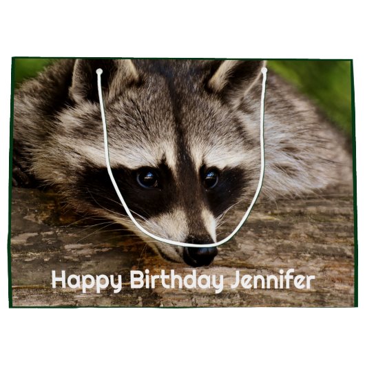 Cute Raccoon Resting on a Log Groot Cadeauzakje (Achterkant)