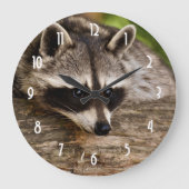 Cute Raccoon Resting on a Log Grote Klok (Voorkant)