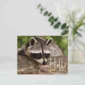 Cute Raccoon Resting on a Log - Hallo Briefkaart (Staand voorkant)