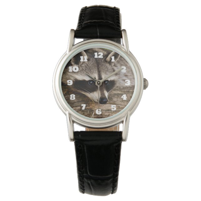 Cute Raccoon Resting on a Log Horloge (Voorkant)