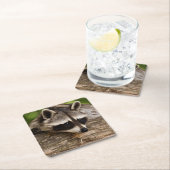 Cute Raccoon Resting on a Log Kartonnen Onderzetters (Insitu)