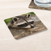 Cute Raccoon Resting on a Log Kartonnen Onderzetters (Schuin)